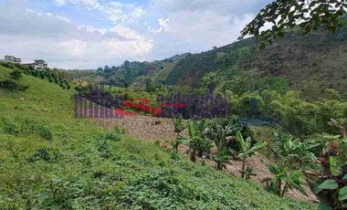 LOTE EN VENTA EN VARIANTE CONDINA/PEREIRA