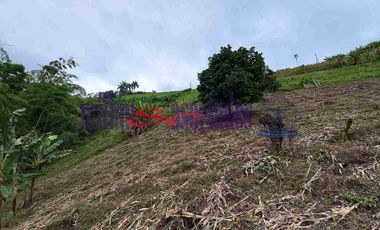 LOTE EN VENTA EN VARIANTE CONDINA/PEREIRA