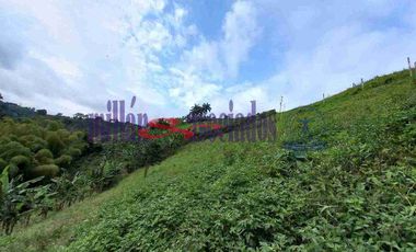 LOTE EN VENTA EN VARIANTE CONDINA/PEREIRA