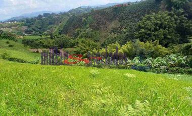 LOTE EN VENTA EN VARIANTE CONDINA/PEREIRA