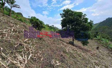 LOTE EN VENTA EN VARIANTE CONDINA/PEREIRA