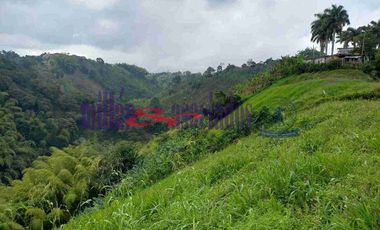 LOTE EN VENTA EN VARIANTE CONDINA/PEREIRA