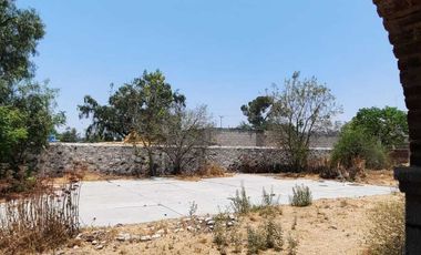 Aprovecha oportunidad de negocio en Ajacuba