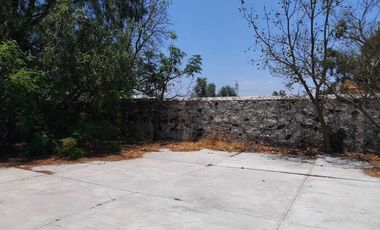 Aprovecha oportunidad de negocio en Ajacuba