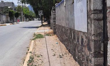 Aprovecha oportunidad de negocio en Ajacuba