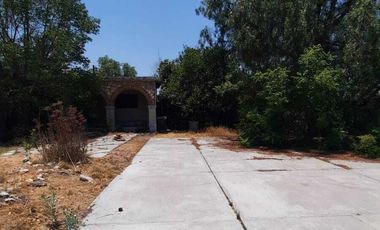 Aprovecha oportunidad de negocio en Ajacuba