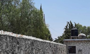 Aprovecha oportunidad de negocio en Ajacuba