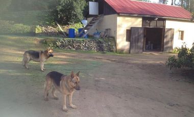 Curacaví, campo de agrado, buena casa, cerros, ecuestre