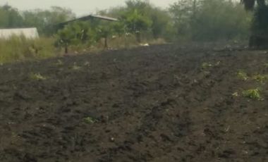 Terreno en Venta Hacienda El Alamito