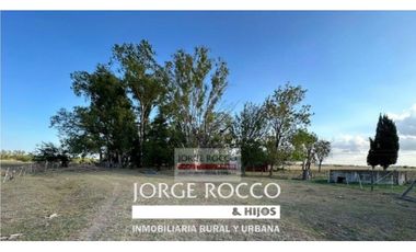 Campo en venta en Gomez, Brandsen. 17 Has ganadero