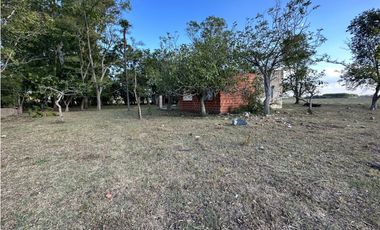 Campo en venta en Gomez, Brandsen. 17 Has ganadero