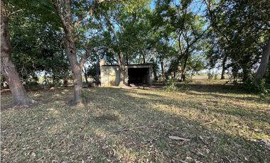 Campo en venta en Gomez, Brandsen. 17 Has ganadero