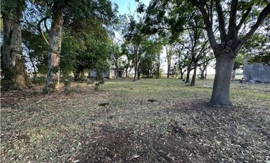 Campo en venta en Gomez, Brandsen. 17 Has ganadero