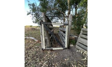 Campo en venta en Gomez, Brandsen. 17 Has ganadero