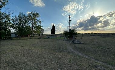 Campo en venta en Gomez, Brandsen. 17 Has ganadero