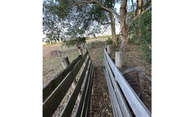 Campo en venta en Gomez, Brandsen. 17 Has ganadero