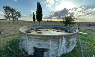 Campo en venta en Gomez, Brandsen. 17 Has ganadero