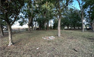 Campo en venta en Gomez, Brandsen. 17 Has ganadero