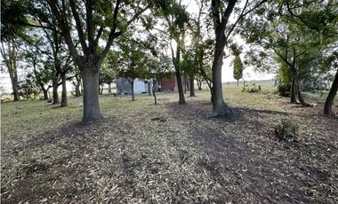 Campo en venta en Gomez, Brandsen. 17 Has ganadero