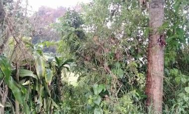 Tanah Sangat Strategis Siap Bangun Lembang Bandung Barat
