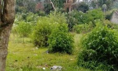 Tanah Sangat Strategis Siap Bangun Lembang Bandung Barat