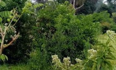 Tanah Sangat Strategis Siap Bangun Lembang Bandung Barat