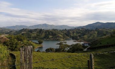 finca en venta en vereda el salto. Cod V9398887