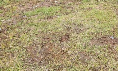 Venta terreno 240 metros Nueva Provincia