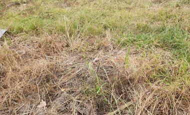 Venta terreno 240 metros Nueva Provincia