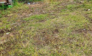 Venta terreno 240 metros Nueva Provincia