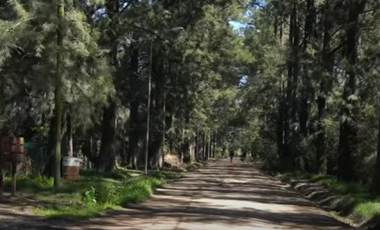 LOTE en YEI - PORA