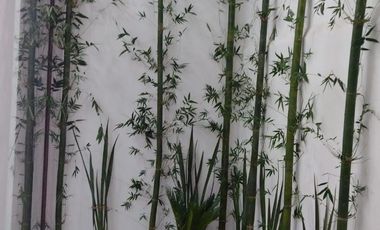 Preventa casas San Mateo Atenco, Edo de México