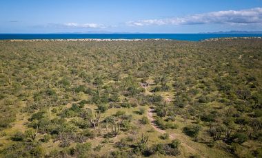 Terreno en venta/San Juan de La Costa, Boca del Cajon de los Reyes