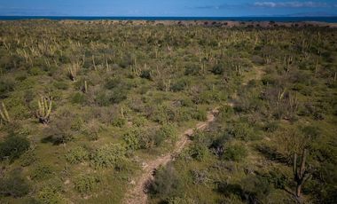 Terreno en venta/San Juan de La Costa, Boca del Cajon de los Reyes