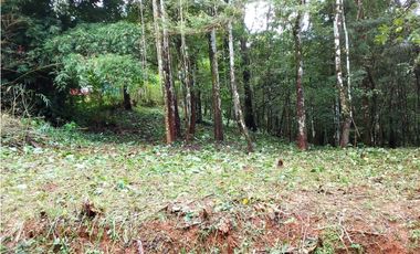 VENTA TERRENO CERRO AZUL