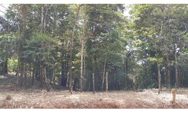 VENTA TERRENO CERRO AZUL