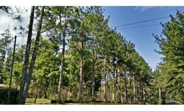 VENTA TERRENO CERRO AZUL