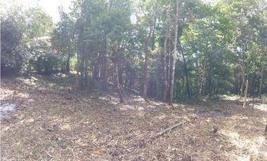 VENTA TERRENO CERRO AZUL