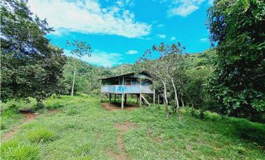 VENDO FINCA 125 HA-CON BOSQUE Y RIO DE AGUA VIVA