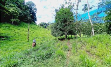 VENDO FINCA 125 HA-CON BOSQUE Y RIO DE AGUA VIVA
