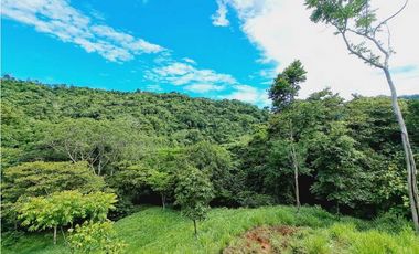 VENDO FINCA 125 HA-CON BOSQUE Y RIO DE AGUA VIVA