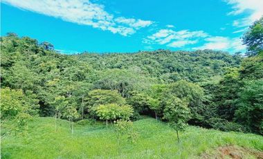 VENDO FINCA 125 HA-CON BOSQUE Y RIO DE AGUA VIVA