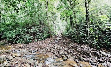 VENDO FINCA 125 HA-CON BOSQUE Y RIO DE AGUA VIVA