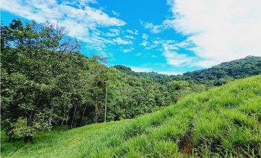 VENDO FINCA 125 HA-CON BOSQUE Y RIO DE AGUA VIVA