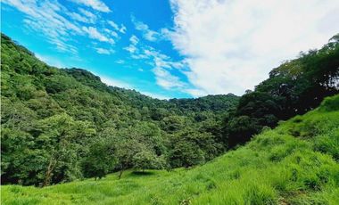 VENDO FINCA 125 HA-CON BOSQUE Y RIO DE AGUA VIVA