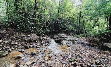 VENDO FINCA 125 HA-CON BOSQUE Y RIO DE AGUA VIVA