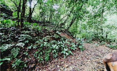 VENDO FINCA 125 HA-CON BOSQUE Y RIO DE AGUA VIVA