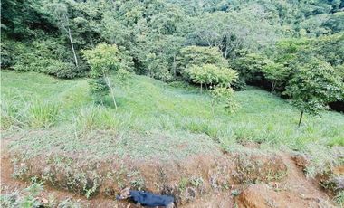 VENDO FINCA 125 HA-CON BOSQUE Y RIO DE AGUA VIVA
