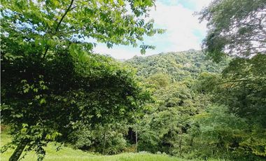 VENDO FINCA 125 HA-CON BOSQUE Y RIO DE AGUA VIVA