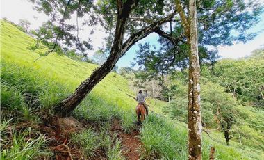 VENDO FINCA 125 HA-CON BOSQUE Y RIO DE AGUA VIVA